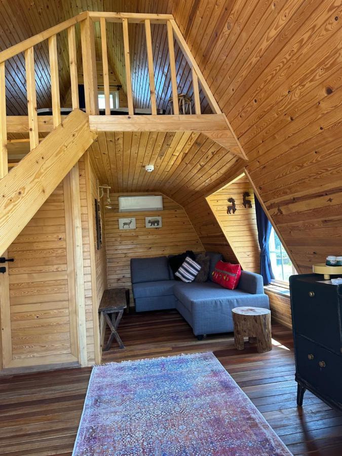 Seyyah Cafe Bungalows Aliaga Dış mekan fotoğraf