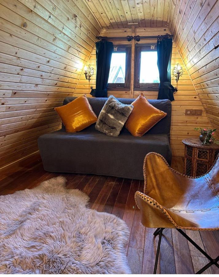 Seyyah Cafe Bungalows Aliaga Dış mekan fotoğraf