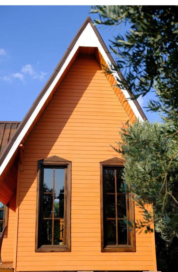 Seyyah Cafe Bungalows Aliaga Dış mekan fotoğraf