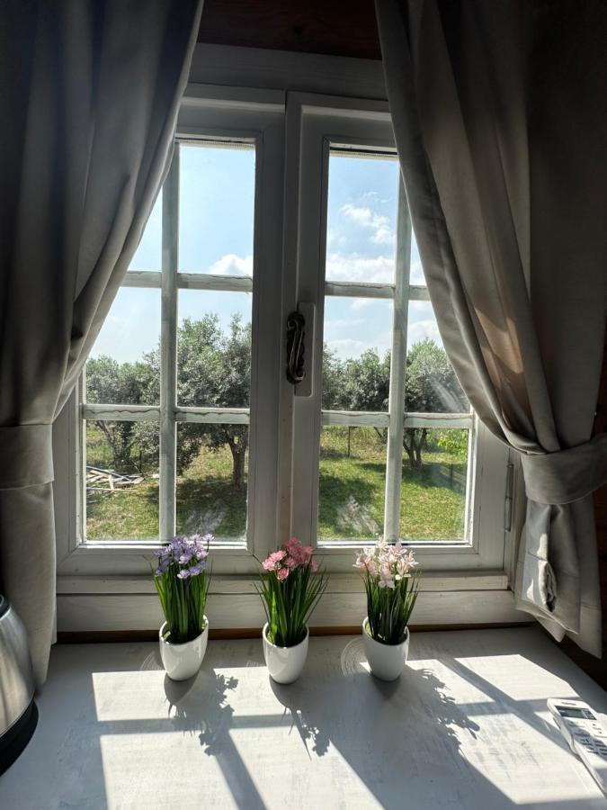 Seyyah Cafe Bungalows Aliaga Dış mekan fotoğraf