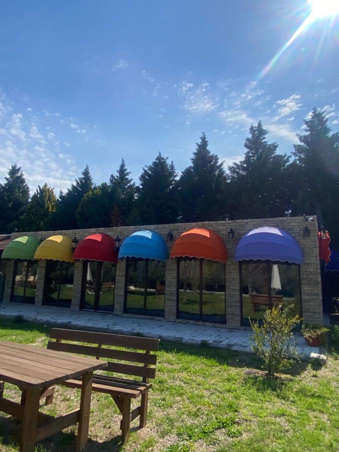 Seyyah Cafe Bungalows Aliaga Dış mekan fotoğraf